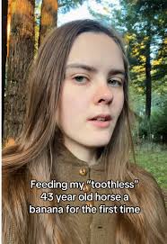 What I Feed My Horse