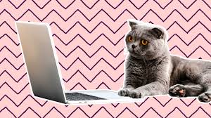 Online dating how dating online has changed the face of traditional dating? Am I Being Too Picky In My Disdain For Online Dating Xtra Magazine