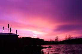 Visually, purple is one of the most difficult colors to discriminate. Sky Clouds Sunset Dark Purple Silhouette House Lake Water Grass Nature Pikist