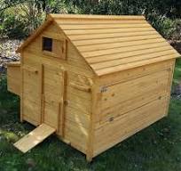 Grand poulailler Bassette XXL 15 à 18 poules toit bois
