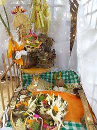 Lontar pengayam ayam dan dharma pejuden sabung ayam, alias tajen, sudah lama tumbuh dan berkembang di pulau dewata. Odalan Mingkup Sari Dan Caru Rsi Ghana Pesona Pulau Bali