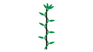 Apr 23, 2021 · tuck an american flag around the edges of a clear glass vase. Illutrator Tutorial How To Make An Interweaving Vine Or Helix Youtube