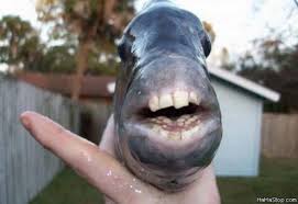 Pin On Weird Pictures That Mess Up Your Head