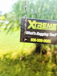 We get results with our termite control solutions. Xtreme Pest Control In Kentucky Pest Control