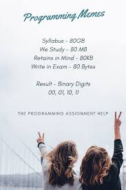 Programming Memes Essay Writing Help Homework Help Assignments