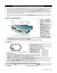Biology 12 Cell Membrane And Cell Wall Function