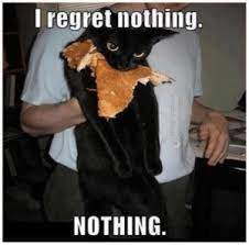 I Regret Nothing Nothing Joke4fun Memes Smart Cat Meme On Me Me