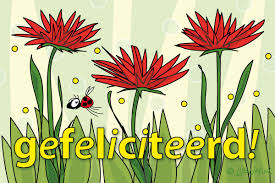 Jij Is Lief Kaart Gefeliciteerd
