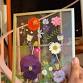 Pressed Florals Class