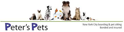 Cat sitter dc is a purrfectly wonderful cat sitting service and we highly recommend them to any cat owner. Cat Boarding Nyc Exotic Pet Sitter Manhattan New York Kennel