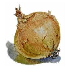 Image Result For Fruits Et Legumes En Aquarelle Zhivopis Fruktov Botanicheskie Printy Botanicheskie Illyustracii