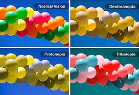 Color blind causes, test, treatment. Color Blindness How It Happens And What Causes It