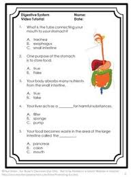 For those who want to expand their knowledge, then these science trivia questions are perfect for you. Free Digestive System Video Quiz Human Body Systems 5th Grade Science Digital Human Digestive System Human Body Systems Human Body Biology