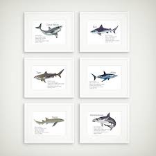Shark Facts Prints Pick 1 2 3 4 5 6 7 8 9 Or All 10 Prints For Your Home Playroom Childs Room Nursery Anyw Shark Theme Room Shark Art Shark Room