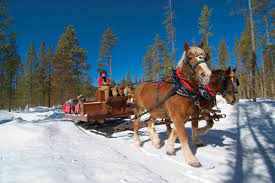 Horseback riding in colorado is one of the best ways to get out into the backcountry. Sleigh Rides Winter Park Colorado