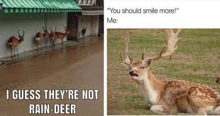 Deer Memes Always Lead In The Right Deerection I Can Has Cheezburger