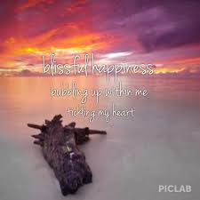 Haiku Poem On Happiness Haiku Poems Haiku Haiku Poetry