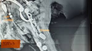 The pirate trope as used in popular culture. Wnw1tmm9t3ha1m