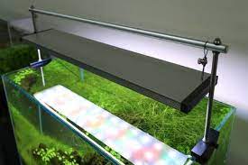 Maybe you would like to learn more about one of these? 7 Lampu Ideas Aquarium Lighting Aquarium Stand Diy Aquarium