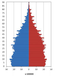 Piramida Penduduk Ekspansif Stasioner Dan Konstruktif Halaman All Kompas Com