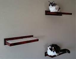 Our cat perches come in a variety of designs, ranging from modules with. Wooden Cat Perch Shelf Floating Wall Mount Amish Made Floating Cat Wall Shelf Wood Wall Cat Shelf Amazon Ca Pet Supplies