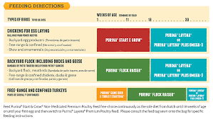 52 Scientific Game Feeding Chart