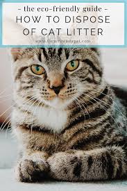 Check out their website to learn about their free monthly. How To Dispose Of Cat Litter The Ultimate Guide To Eco Friendly Pet Waste Management Part 1 The Zero Waste Pet
