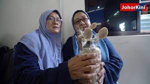 Pusat jagaan bakti murni warga emas dan oku. Video Pawe Sebagai Pusat Aktiviti Untuk Warga Emas Johorkini