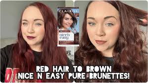Clairol nice'n easy no ammonia demi-permanent 💜 home hair colour reviewed  💜 Selfcare Karen