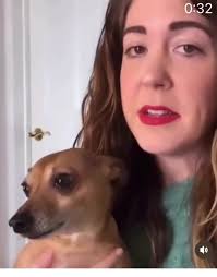 Shut The F Up TikTok Sound Dog