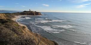 Coastal Walk at Pillar Point Bluff