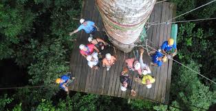 As you take to the air over exotic trees and vibrant flora, you will experience the rush of a lifetime while catching a. Zipline Canopy Tour Jaco Beach Los Suenos