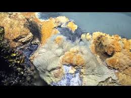 Check Out This Video Post For A Look At The Gulf Of Mexico S Deadly Underwater Brine Pool They Ve Nicknamed Jacuzzi Gulf Of Mexico Underwater Lake Ocean Video