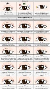 W którym momencie warto zacząć leczyć nakątną? Uksztaltowanie Powieki Gornej Falda Powiekowa Oraz Dolnej Antropologia Fizyczna