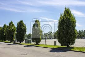 2,3 km (1,43 mi) kurven: Die Autodromo Nazionale Monza Eine Rennstrecke In Der Nahe Der Fototapete Fototapeten Monza Milan Lombardia Myloview De