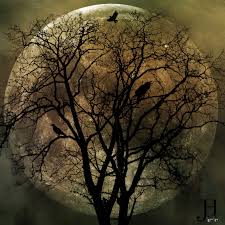 Under these emo moonbeams, the floodgates may burst open. December 2018 Full Moon In Cancer Closing Out The Year Crystal B Astrology