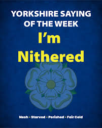 Yorkshire Saying of the Week “I'm nithered.” Meaning: you're absolutely  freezing. Depending where in Yorkshire you're from, you might have heard it  a bit differently: “I'm nithered.” “I'm nesh.” “I'm starved.” “I'm