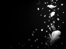 Black Feather Wallpapers On Wallpaperdog Peacock hd wallpaper for desktop.