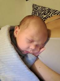 Thank you for all the advice today , Sidney (r) Alex (L) ( the names of my  babies )