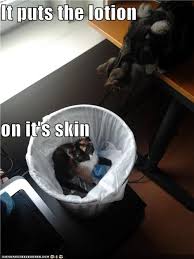 Scan through all of the choices and see if one resonates with you. I Can Has Cheezburger Quote Page 5 Funny Animals Online Cheezburger