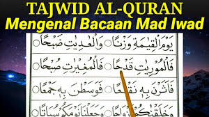 Dec 03, 2020 · pengertian mad layyin mad layyin menurut istilah adalah kalimat yang dibaca dengan lembut dan halus. Penjelasan Mad Iwad Lengkap Beserta Contohnya Youtube