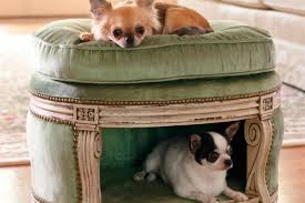 Luxury beds are available for both indoors and outdoors, making it easy to provide comfort no matter where your dog chooses to snooze. Luxury Dog Houses Pet Palaces For Your Pampered Pooches Loveproperty Com