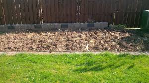 Achten sie uff (berlinerisch) das aussehen. Lehmboden Perlite Zum Auflockern Chiliforum Hot Pain De