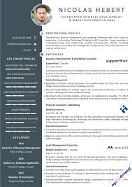 Business Development And Marketing Executive Resume Samples My Cv Designer