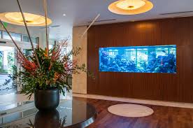 With our 1, 2 and 3 bedroom apartments available for rent, our spaces range from 833 square explore all your options and more here to start your journey for easy and convenient living in florida's delray beach. Pin On Aquariums