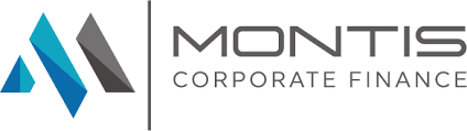 Bachelor's degree in finance, economics, mathematics, statistics, or in a related field. Home Montis Corporate Finance