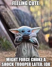 Pin By Sydney Ehrsam On Baby Yoda Yoda Funny Yoda Meme Funny Pictures