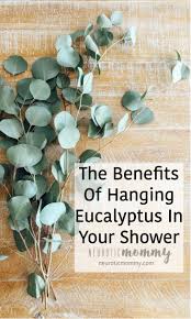 Made in the uk · click & collect · handmade furniture The Benefits Of Hanging Eucalyptus In Your Shower Neuroticmommy