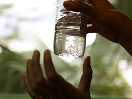 Female culex mosquito lay hundreds of eggs but one at a time. Brazil Defeated The Mosquito That Spreads Zika Once Before Few Expect It To Do So Again Los Angeles Times