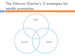 The ultimate aim of the program is to improve the organizational health of participating employers and certified trainers, with an emphasis on strategies to reduce chronic disease and inju. Models Of Health And Health Promotion Ppt Video Online Download